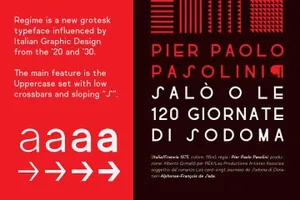 时尚现代的高端英文无衬线字体Regime Grotesk