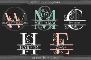 时尚的衬线字体图形素材包 Split Monograms Vector Toolkit