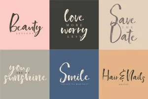 手写笔刷字体 Southerner Brush Script Typeface