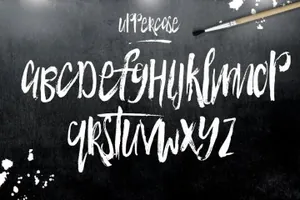 手写笔刷设计字体 Torquay Hotel Brush Font