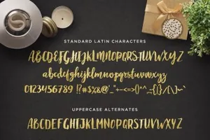 手绘英文字体 Maloishe Brush Script Font