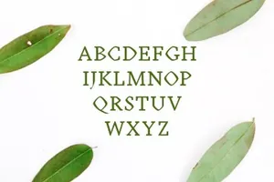 优雅清新字体 Achazia Serif 4 Font Family Pack