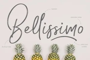 菠萝凤梨手写字体模板 Pineapple Script Font