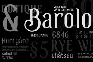 手写个性设计字体 Black Spot for Headlines amp;amp; Lettering