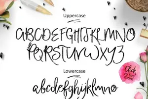 浪漫手写脚本字体 Affectionate Brush Script Font
