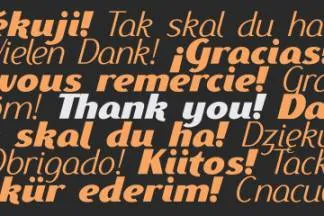 全新大胆的sans-serif无衬线字体系列 Ethna Italic