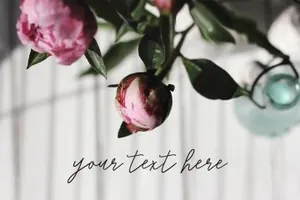 花卉照片图库 Styled stock photos , Pink peonies