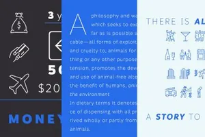 时尚衬线字体 Informative