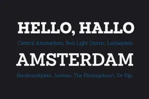 衬线字体 Sánchez Niu