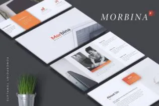 高端企业精美ppt模板企业ppt模板总结morbina-company