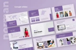 时尚高端清新优雅配色商业商务质感norman-business-google