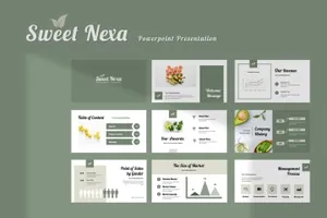 高级灰豆绿干净现代简单Sweet Nexa Powerpoint