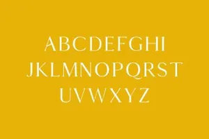 复古时尚衬线字体 Thomas Mag Serif 9 Fonts Family Pack