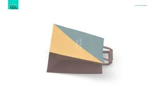 多角度购物袋Mockups打包Paper Bags 2 Mock-up