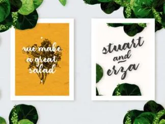 Amerizana Regular 经典常规字体