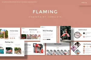 行业市场分析报告PPT设计模板 Flaming – Powerpoint Template