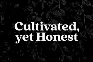 衬线设计字体 Quincy CF font family