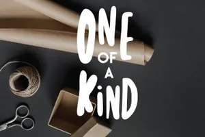 适合做婚礼标题古怪俏皮的无衬线粗体英文字体 Twin Pines | Font Duo