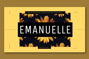 多用途时尚极简主义ppt模板