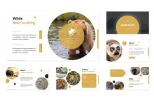 优雅时尚的ppt模板下载