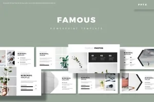 简约时尚高端多用途powerpoint幻灯片演示模板