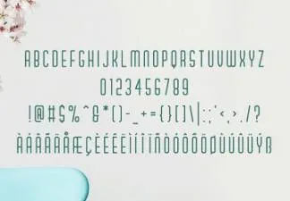 一款全新的干净现代时尚大写英文字体Proxisol