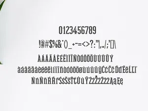 一款美丽的小衬线英文字体Mahlon Serif Font Family