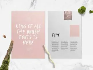 一款适合时尚美容产品食品服装杂志印刷手写英文字体Brush Script