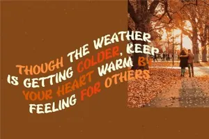 具有现代又具复古感的柔软英文字体 Warmth - retro brush bold font