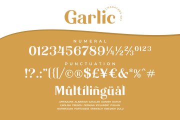 优雅的无衬线体英文字体 Garlic / elegant font