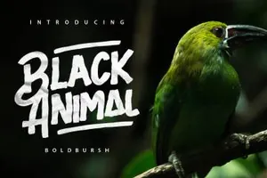 粗体画刷风格英文字体Black Animal Typeface 精选字体