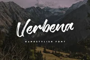 画笔笔刷风格英文字体Verbena Typeface Free Demo 精选字