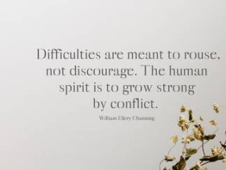 一款漂亮优雅的英文字体Myron Serif Typeface