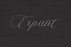 一款优雅浪漫英文字体Violeta