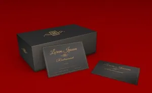 高端盒装企业名片设计展示样机