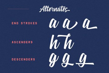 一套现代复古的英文字体 Zeichen Script