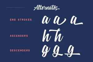 一套现代复古的英文字体 Zeichen Script