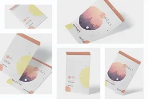 C4尺寸规格企业高端信封设计图样机 Envelope C4 Mock-Up Set