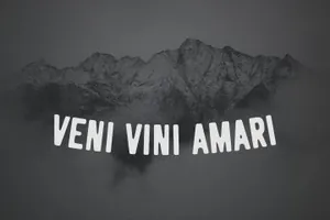 中世纪粗犷复古的英文字体 Logbond Font Family