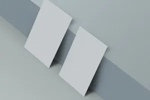 透视角度高度商业名片样机下载