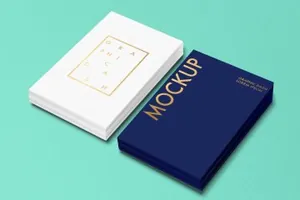 高端的商业名片设计展示样机 Business Cards