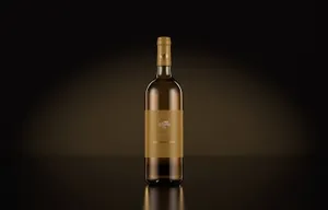 高品质的时尚高端逼真质感的葡萄酒红酒酒瓶包装设计