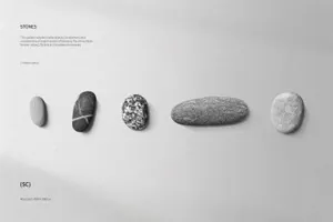 真实的纸石头等质感背景纹理场景样机素材下载