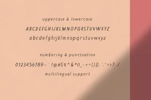 新式经典复古无衬线英文字体 Sunnyside Rough Sans