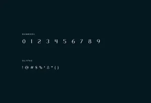 独特品牌VI视觉设计英文无衬线字体 Clinton Font Family