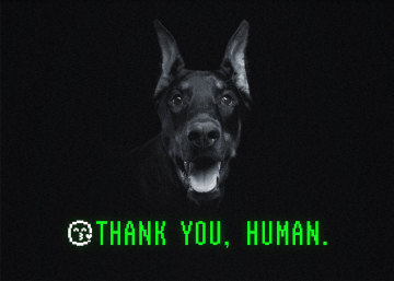 Pinscher Free Bitmap Font 最新免费像素字体