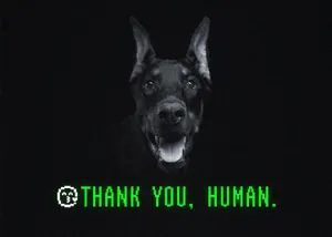 Pinscher Free Bitmap Font 最新免费像素字体