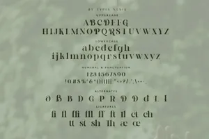 浪漫优雅的复古经典奢侈品牌婚礼邀请函排版英文字体 Bella Destina - Beauty Romantic