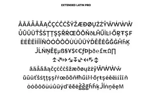 未来派等宽线条杂志海报排版几何英文字体 Dirtyline Studio - DX Rigraf Font Family