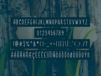 一款全新的时尚手写英文大写字体Radburn